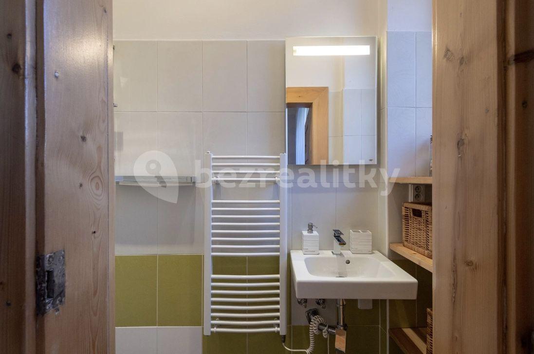 1 bedroom with open-plan kitchen flat to rent, 58 m², Jičínská, Prague, Prague