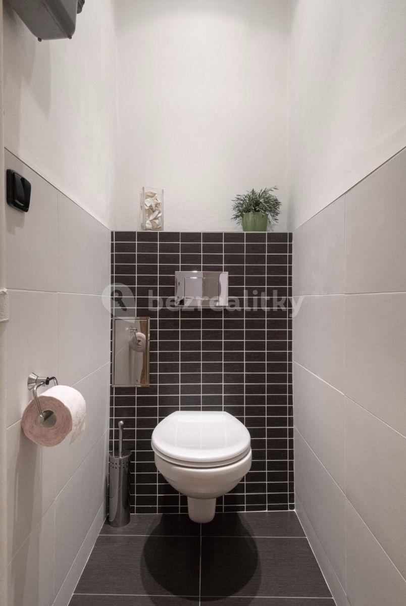 1 bedroom with open-plan kitchen flat to rent, 58 m², Jičínská, Prague, Prague