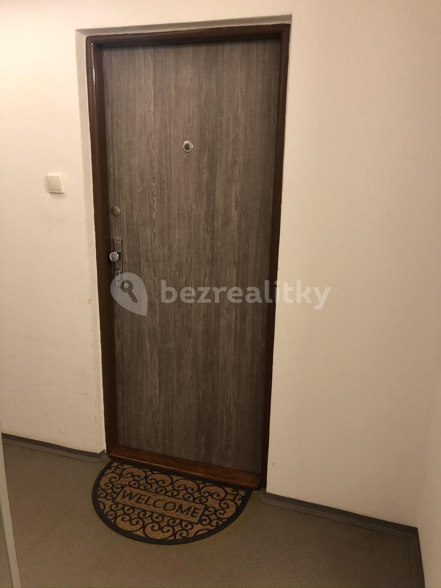 1 bedroom with open-plan kitchen flat to rent, 45 m², Kukelská, Prague, Prague