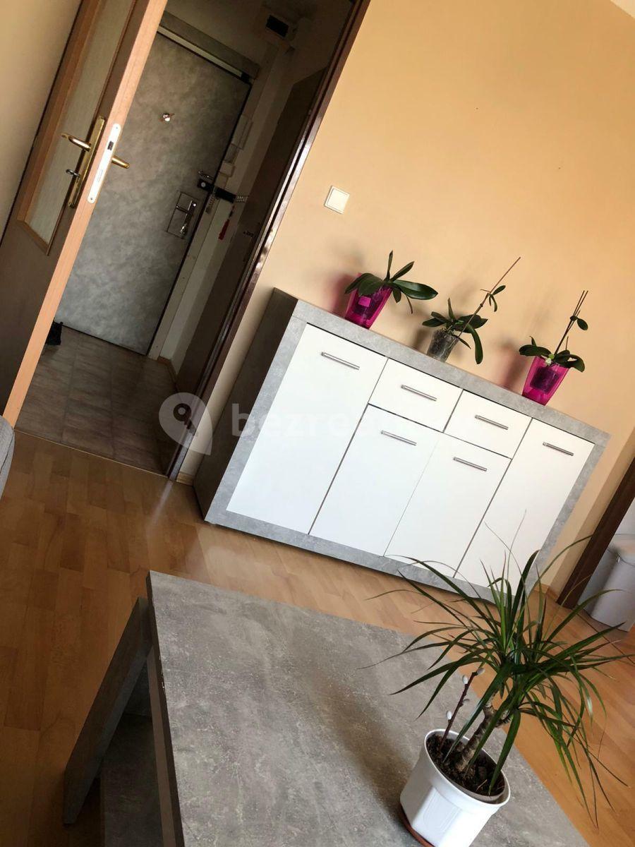 1 bedroom with open-plan kitchen flat to rent, 45 m², Kukelská, Prague, Prague