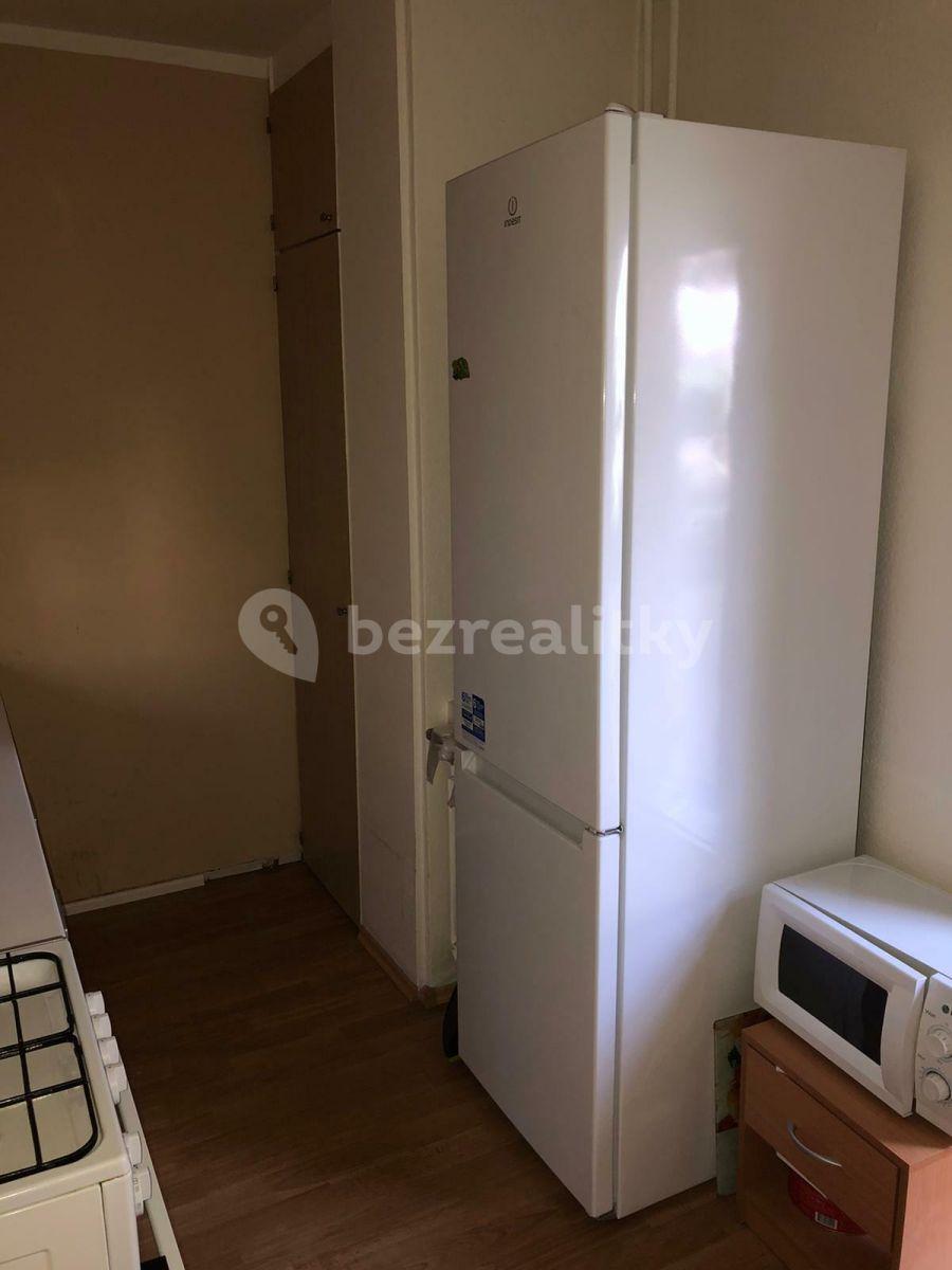 1 bedroom with open-plan kitchen flat to rent, 45 m², Kukelská, Prague, Prague