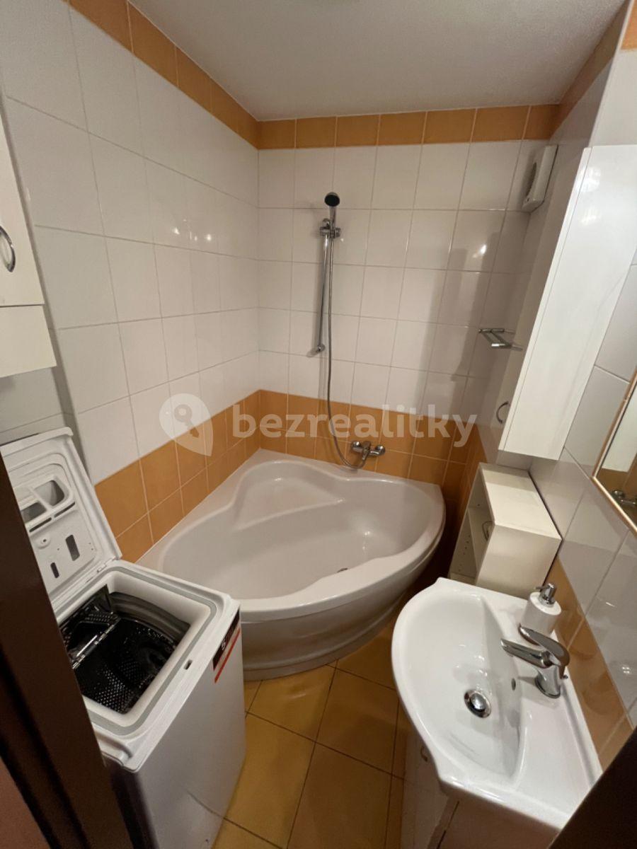 1 bedroom with open-plan kitchen flat to rent, 45 m², Kukelská, Prague, Prague