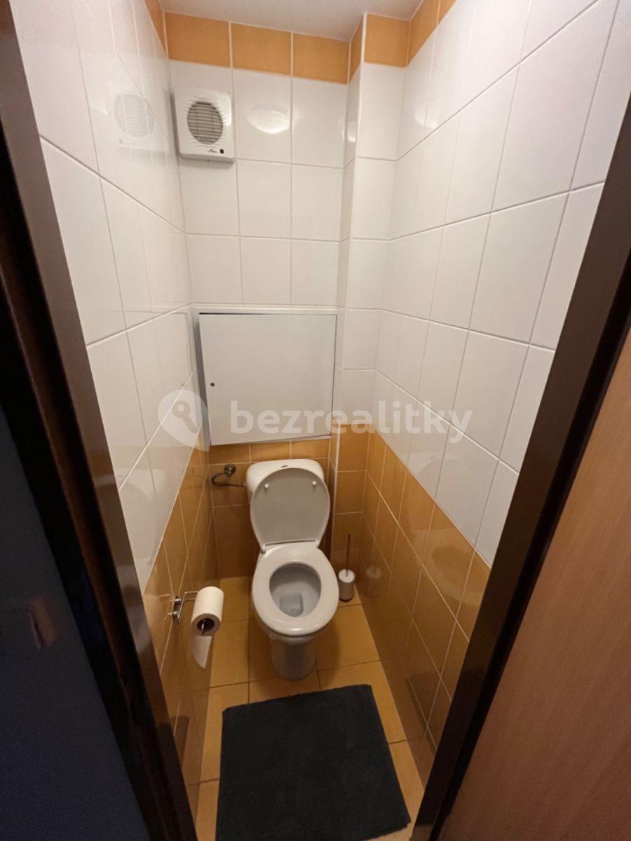 1 bedroom with open-plan kitchen flat to rent, 45 m², Kukelská, Prague, Prague