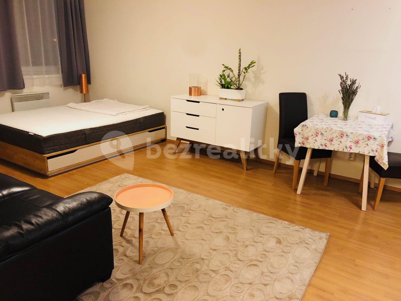 1 bedroom with open-plan kitchen flat to rent, 48 m², V Roháči I., Jesenice, Středočeský Region