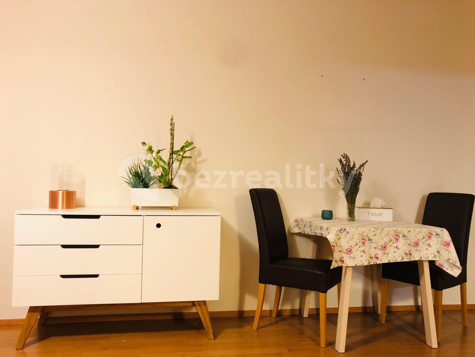 1 bedroom with open-plan kitchen flat to rent, 48 m², V Roháči I., Jesenice, Středočeský Region