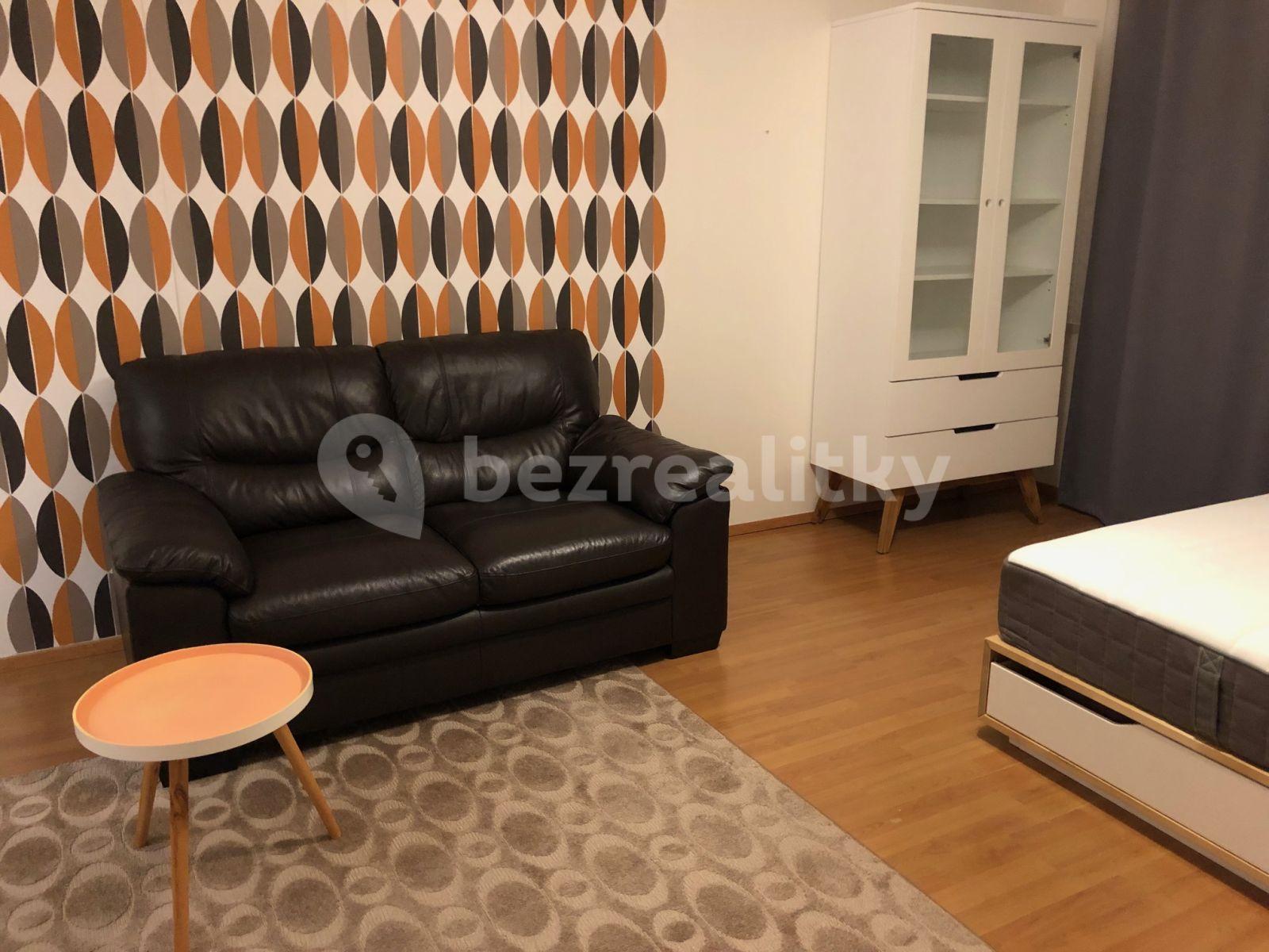 1 bedroom with open-plan kitchen flat to rent, 48 m², V Roháči I., Jesenice, Středočeský Region