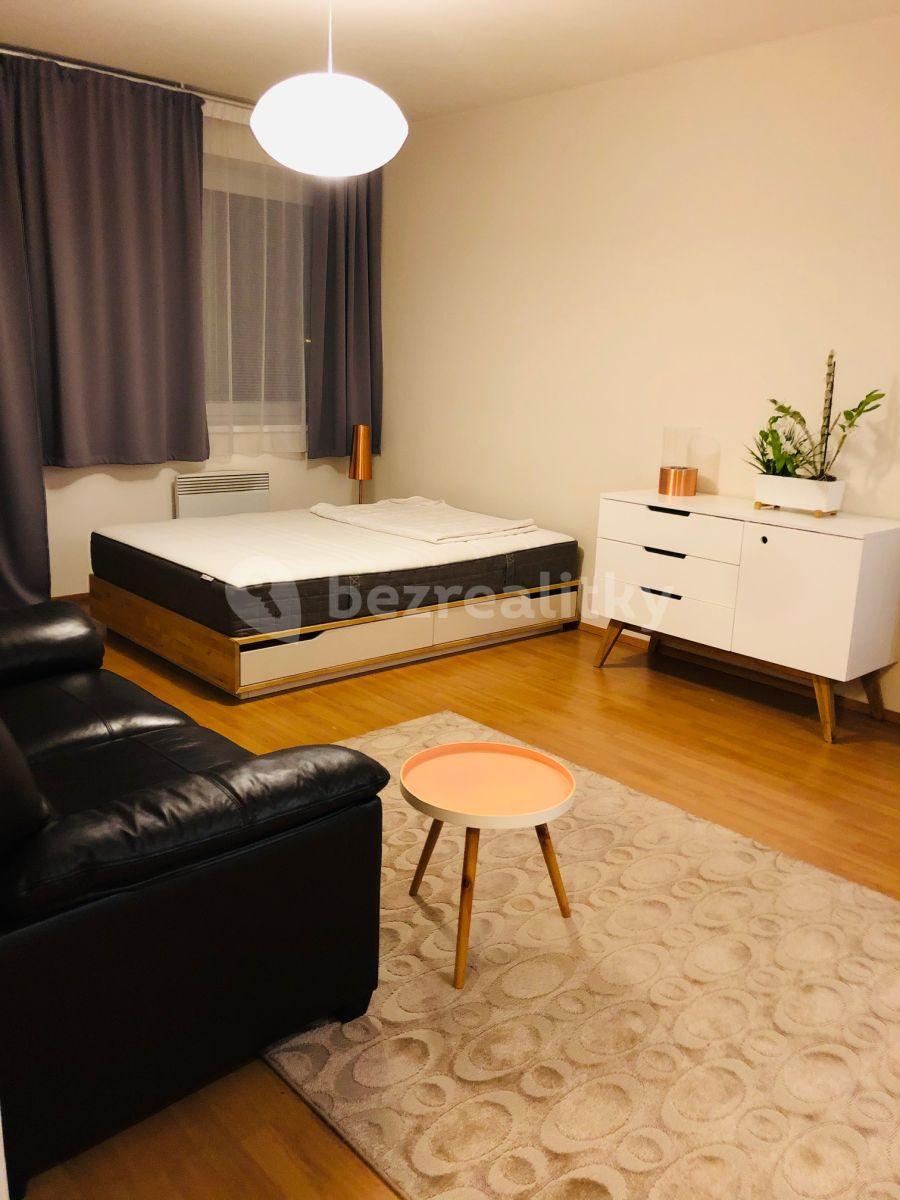 1 bedroom with open-plan kitchen flat to rent, 48 m², V Roháči I., Jesenice, Středočeský Region