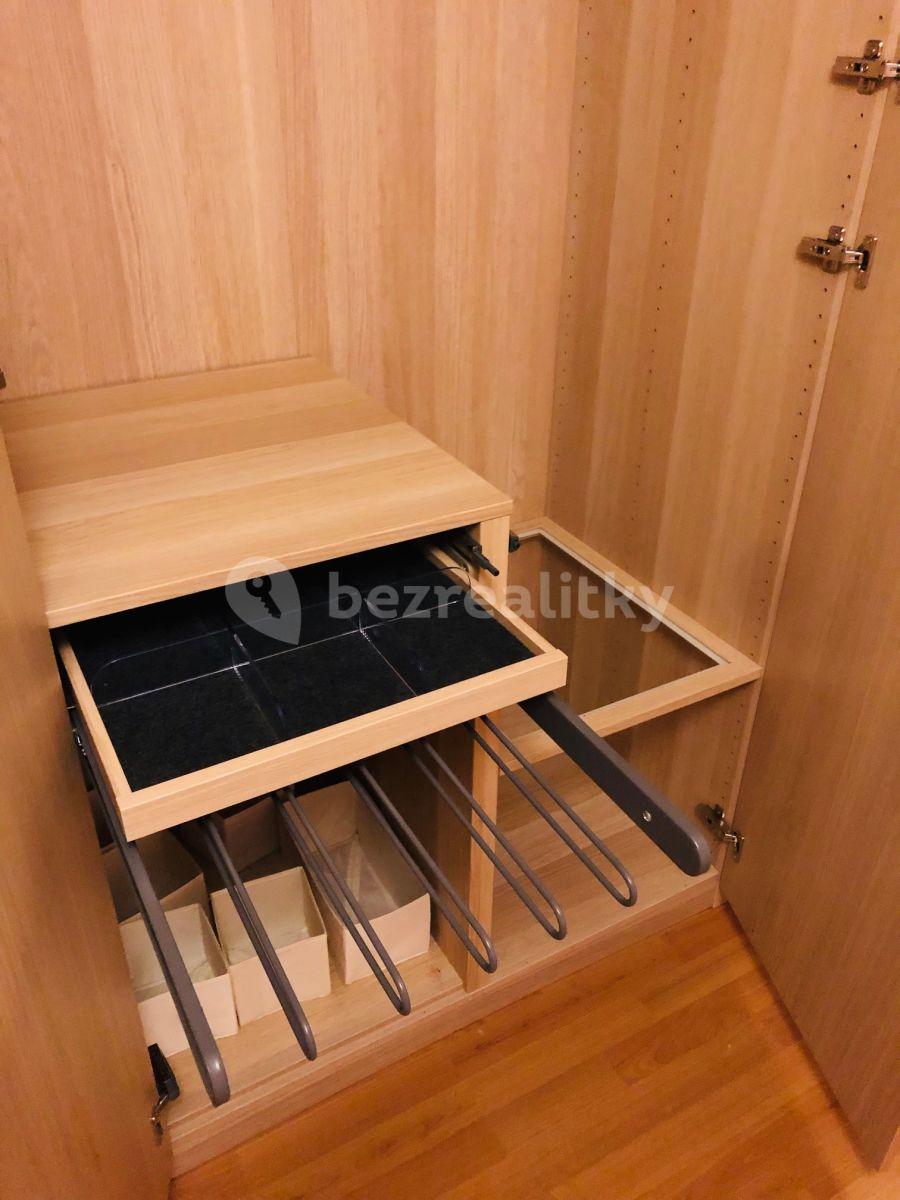 1 bedroom with open-plan kitchen flat to rent, 48 m², V Roháči I., Jesenice, Středočeský Region