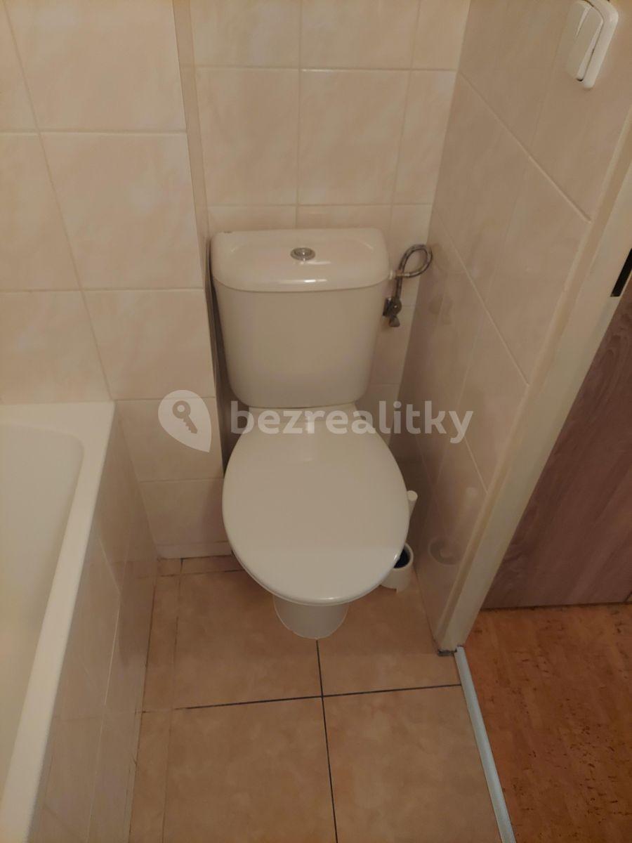 Small studio flat to rent, 17 m², Mozolky, Brno, Jihomoravský Region