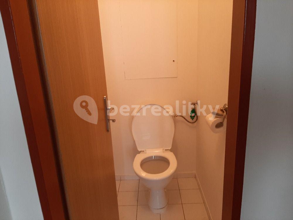 2 bedroom with open-plan kitchen flat to rent, 55 m², Bryksova, Prague, Prague