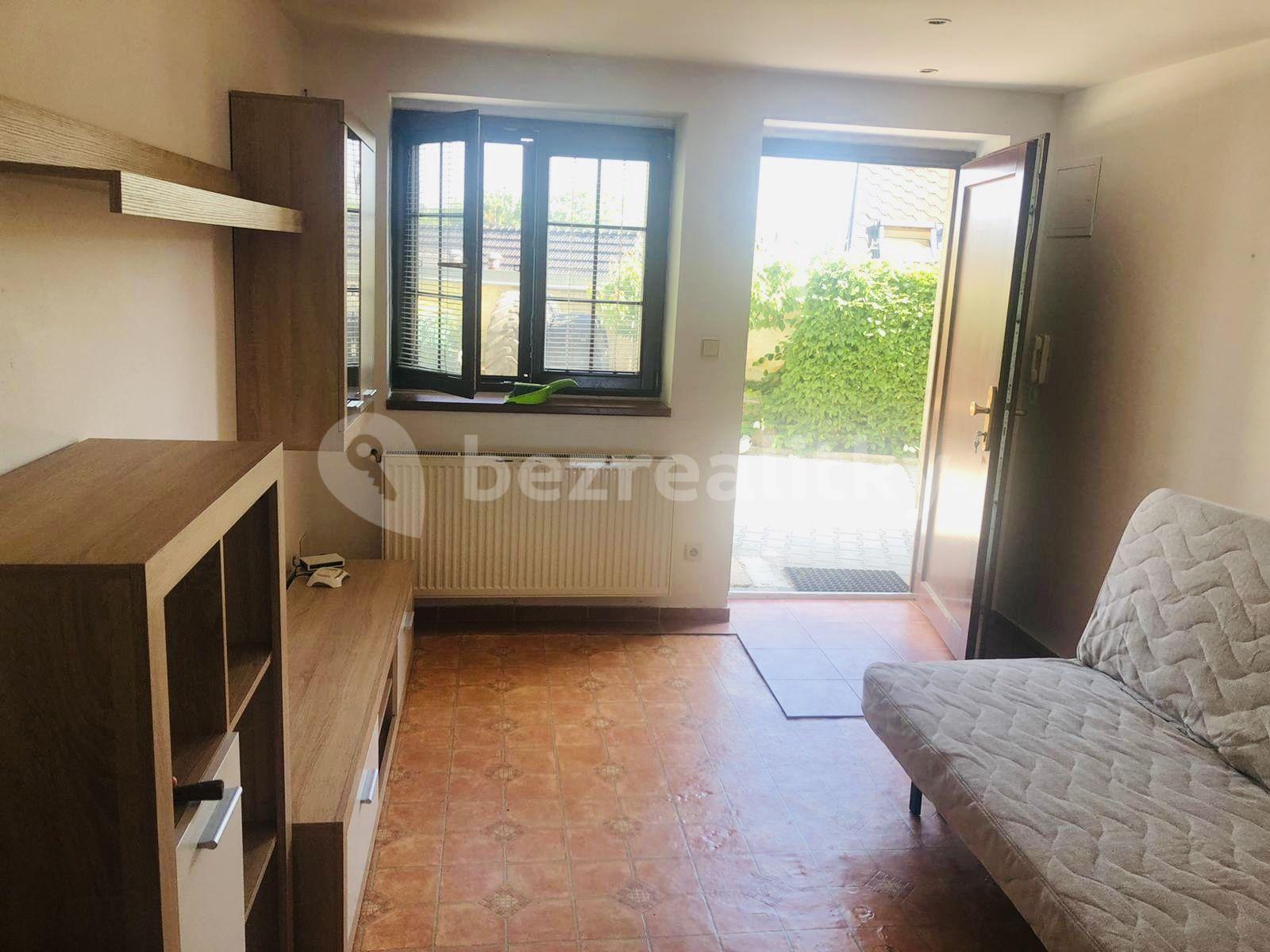 1 bedroom with open-plan kitchen flat to rent, 25 m², Nad Schody, Prague, Prague