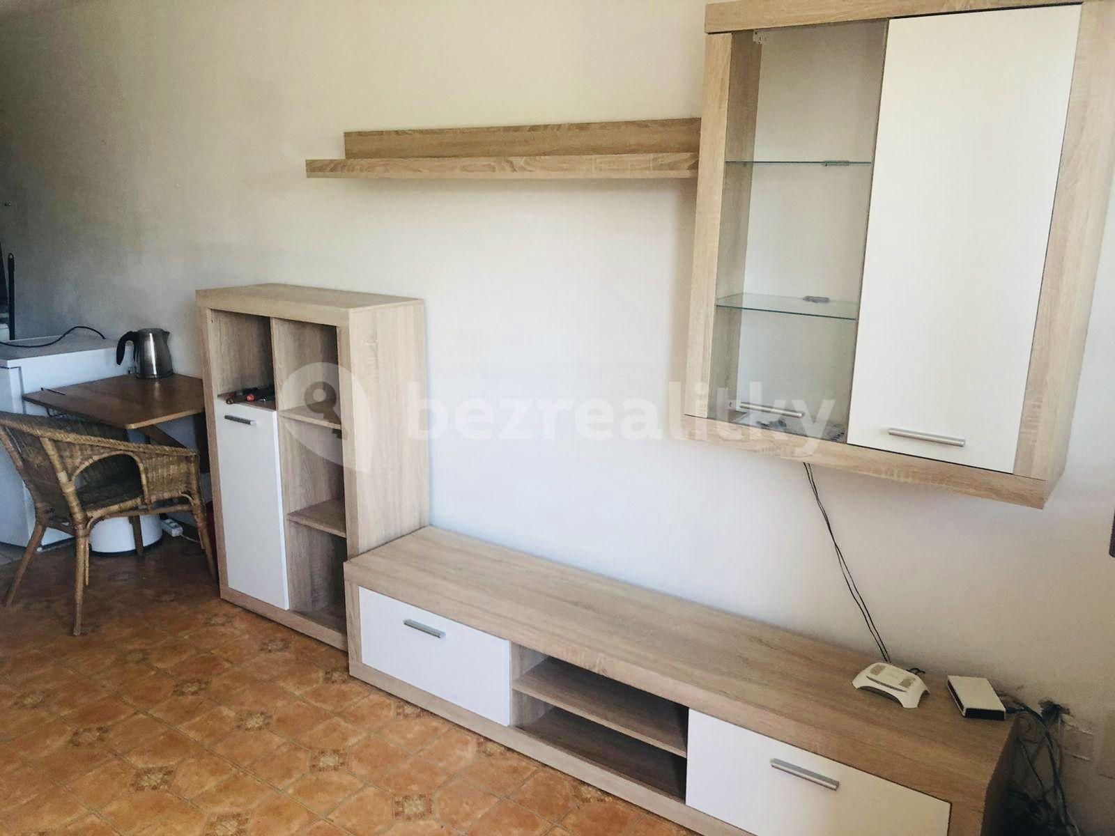 1 bedroom with open-plan kitchen flat to rent, 25 m², Nad Schody, Prague, Prague