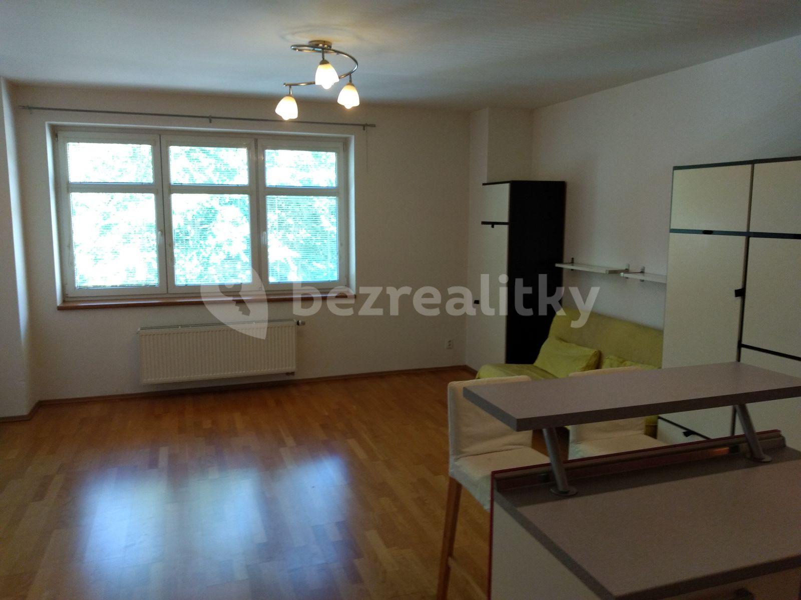 Studio flat to rent, 50 m², Jemnická, Prague, Prague