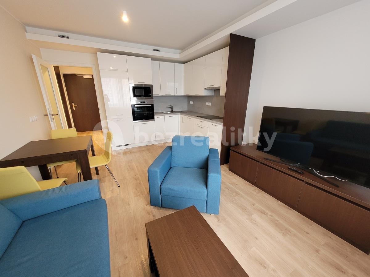 1 bedroom with open-plan kitchen flat to rent, 50 m², Mukařovského, Prague, Prague