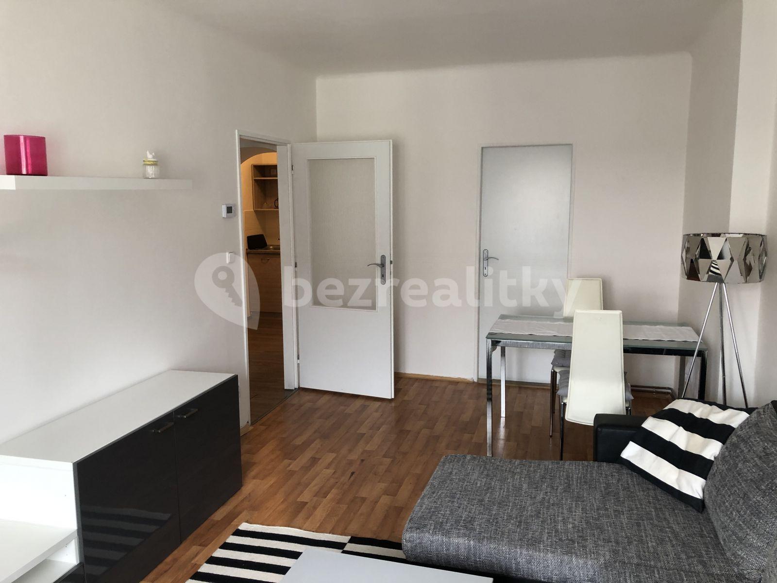 1 bedroom with open-plan kitchen flat to rent, 47 m², Šaldova, Prague, Prague