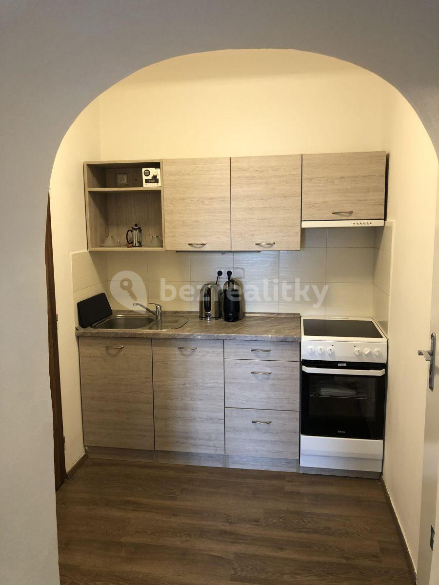 1 bedroom with open-plan kitchen flat to rent, 47 m², Šaldova, Prague, Prague