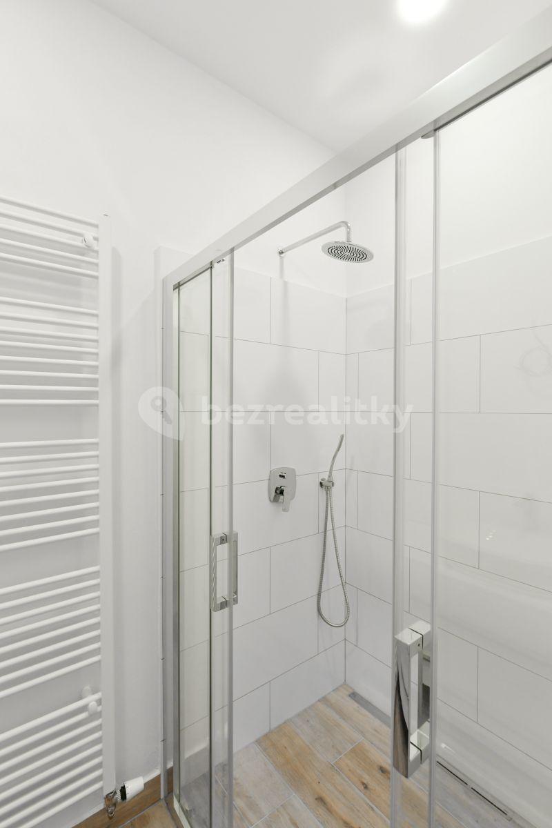 3 bedroom with open-plan kitchen flat to rent, 105 m², Kubelíkova, Prague, Prague