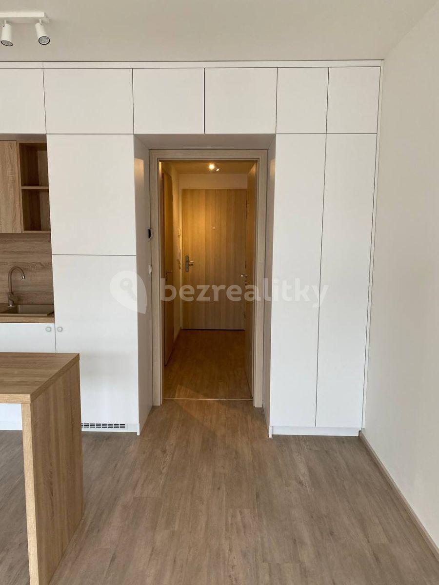 Studio flat to rent, 30 m², Do Zahrádek Ⅰ, Prague, Prague