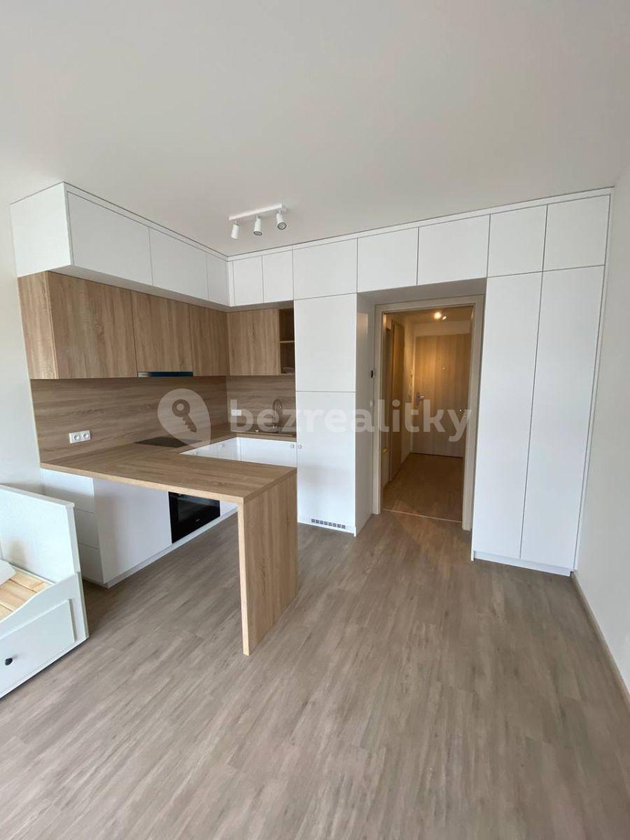 Studio flat to rent, 30 m², Do Zahrádek Ⅰ, Prague, Prague