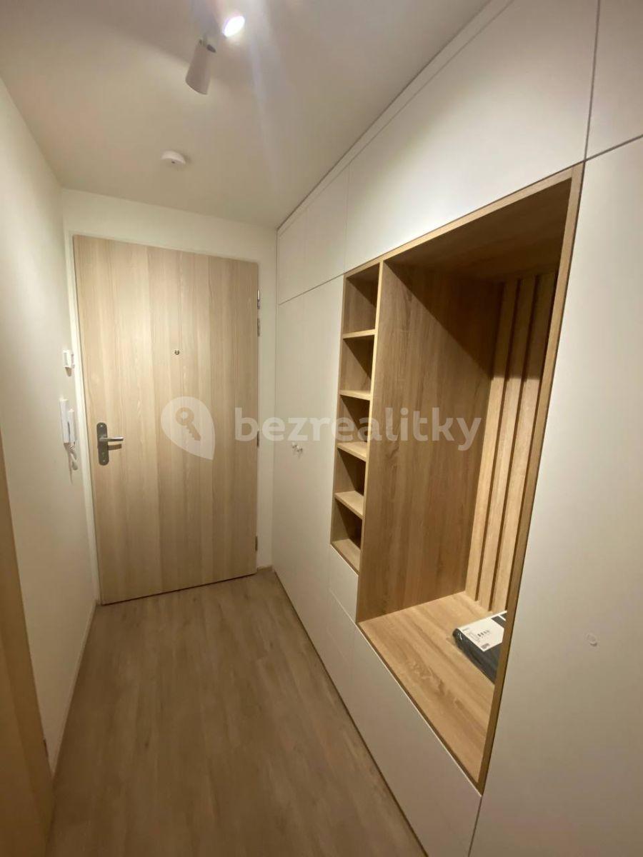 Studio flat to rent, 30 m², Do Zahrádek Ⅰ, Prague, Prague