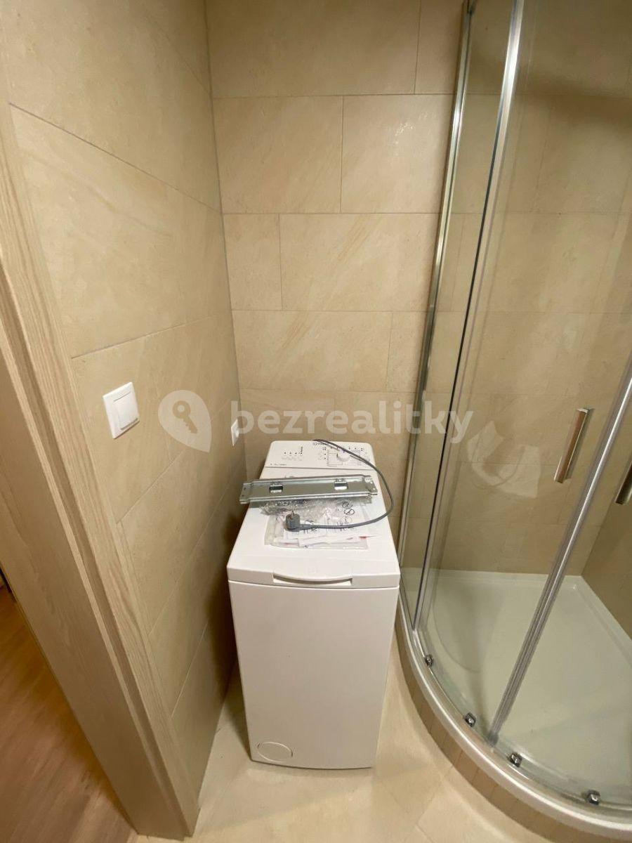 Studio flat to rent, 30 m², Do Zahrádek Ⅰ, Prague, Prague