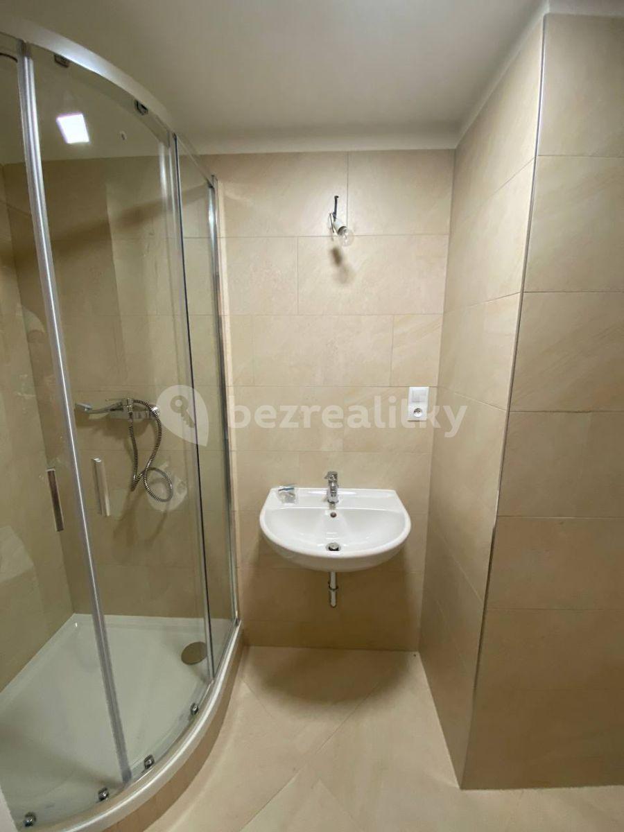 Studio flat to rent, 30 m², Do Zahrádek Ⅰ, Prague, Prague