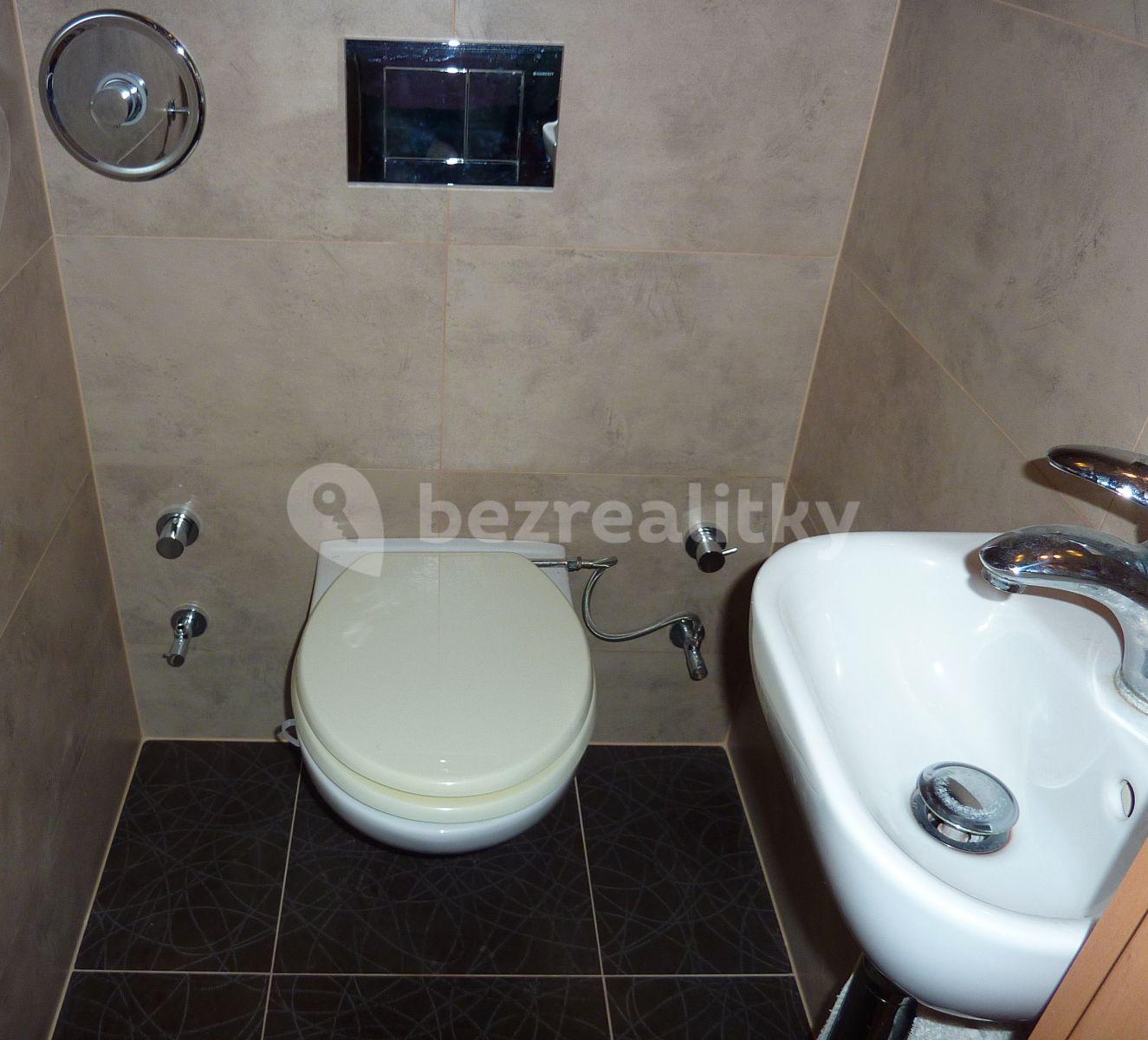 1 bedroom with open-plan kitchen flat to rent, 48 m², Augustinova, Prague, Prague