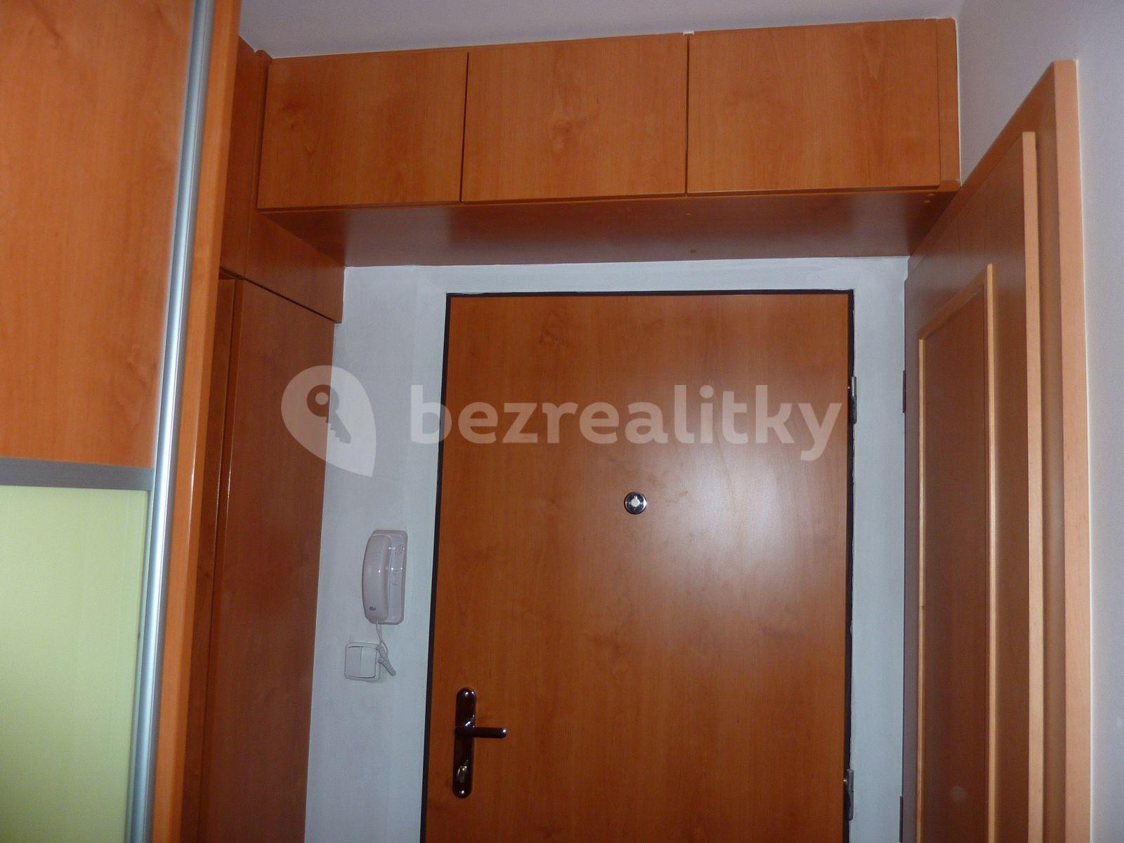 1 bedroom with open-plan kitchen flat to rent, 48 m², Augustinova, Prague, Prague