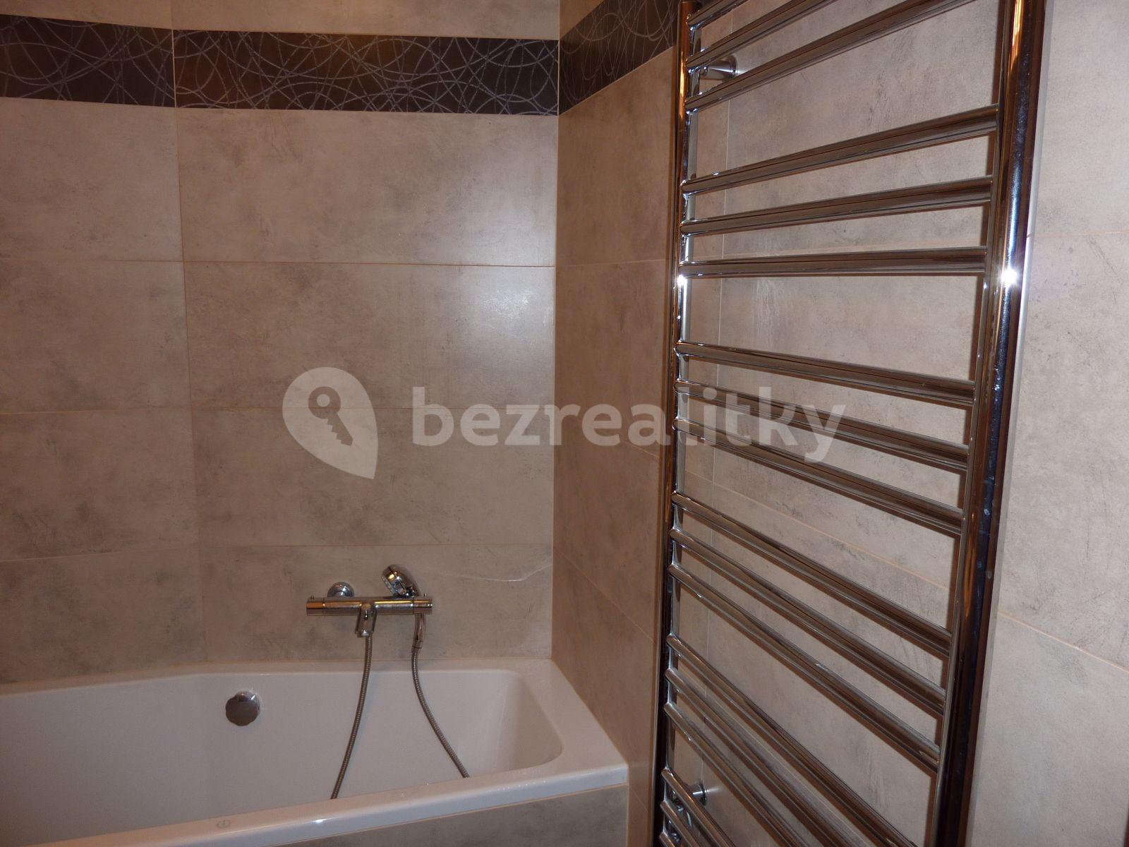 1 bedroom with open-plan kitchen flat to rent, 48 m², Augustinova, Prague, Prague