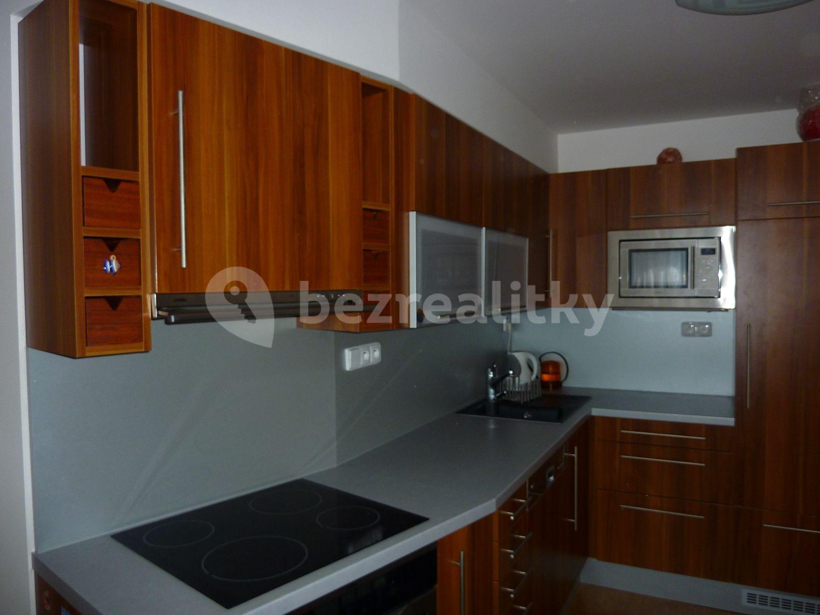 1 bedroom with open-plan kitchen flat to rent, 48 m², Augustinova, Prague, Prague