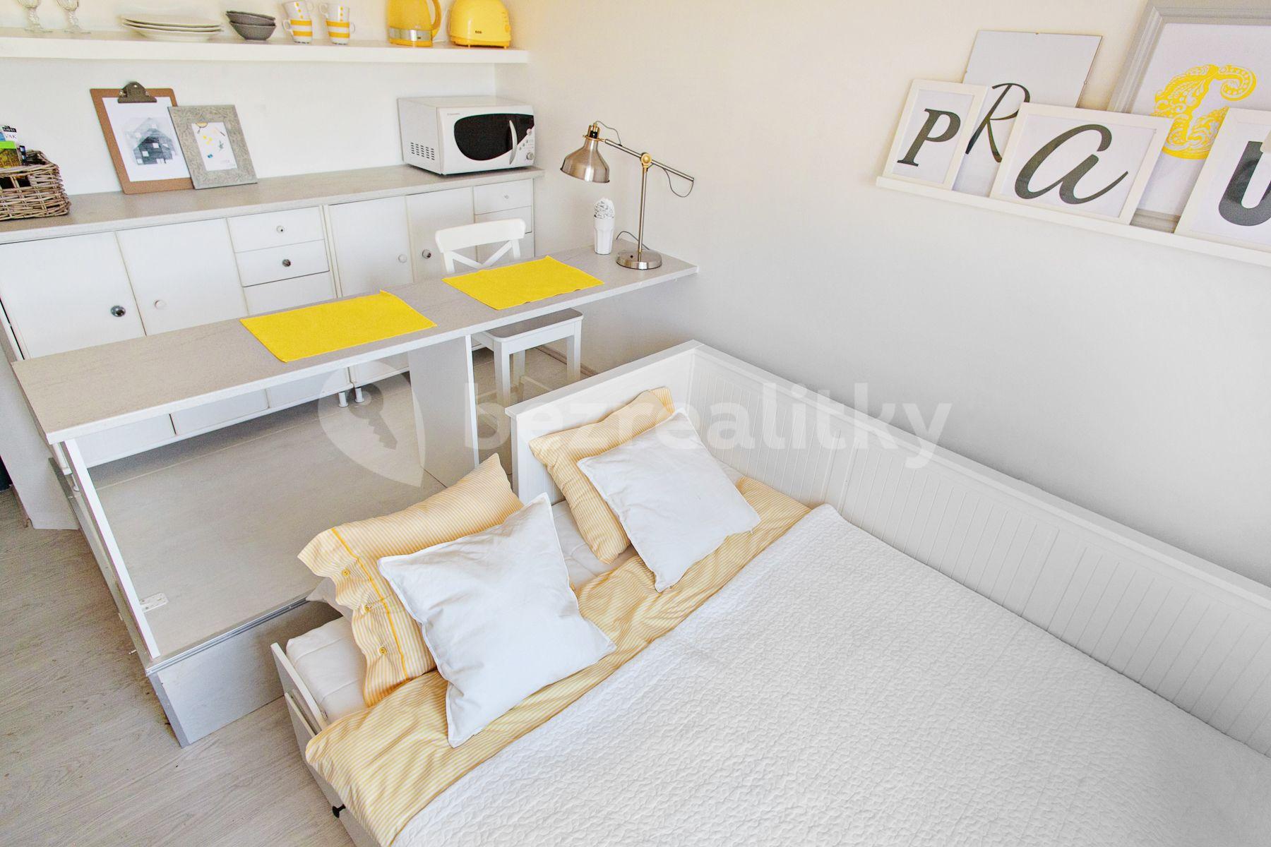 Small studio flat to rent, 18 m², Heřmanova, Prague, Prague