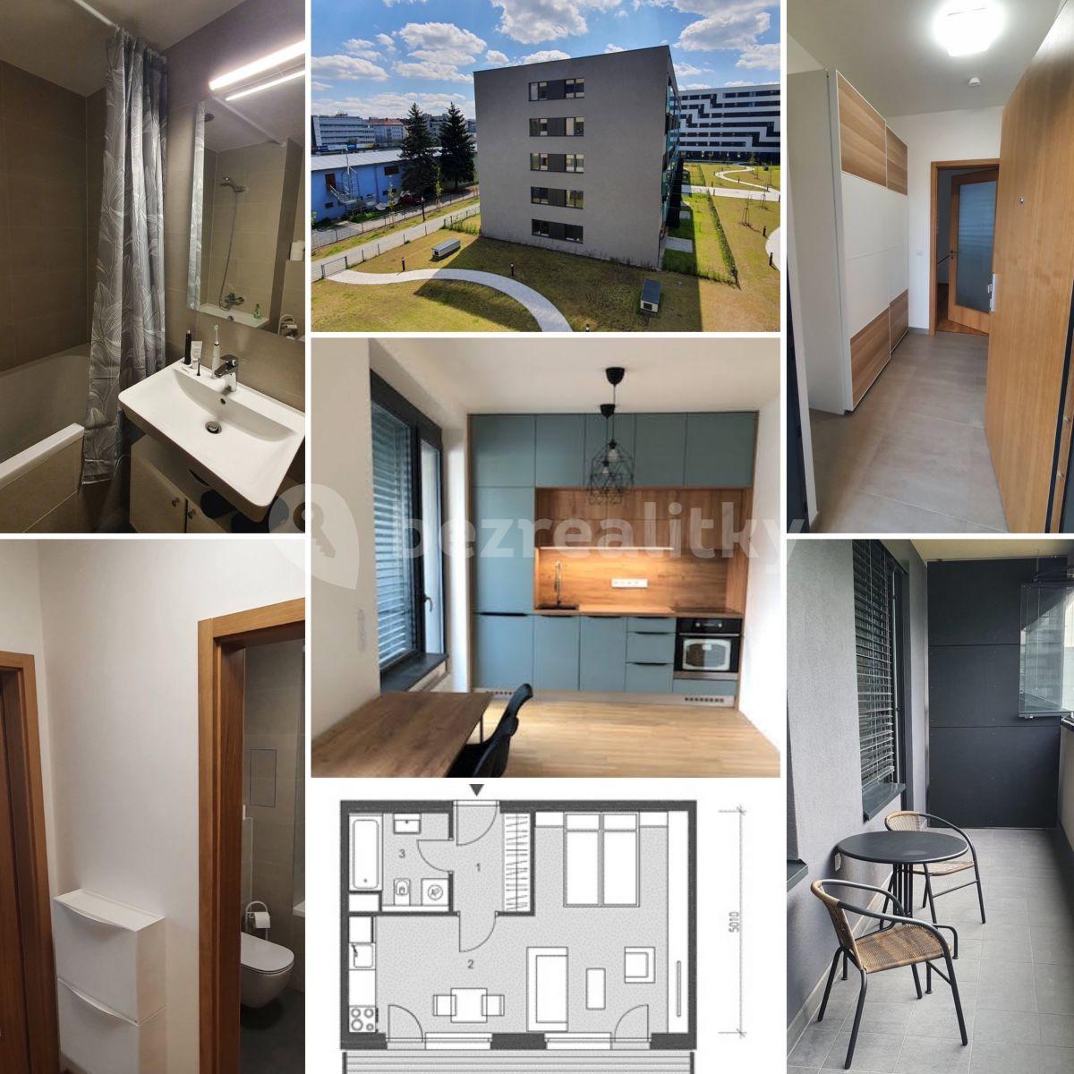 Studio flat to rent, 50 m², Argentinská, Prague, Prague