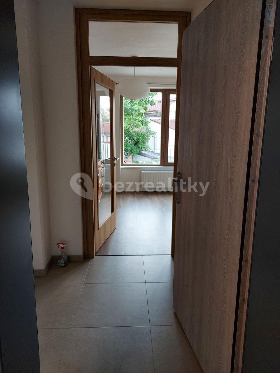 Studio flat to rent, 32 m², Pallova, Plzeň, Plzeňský Region