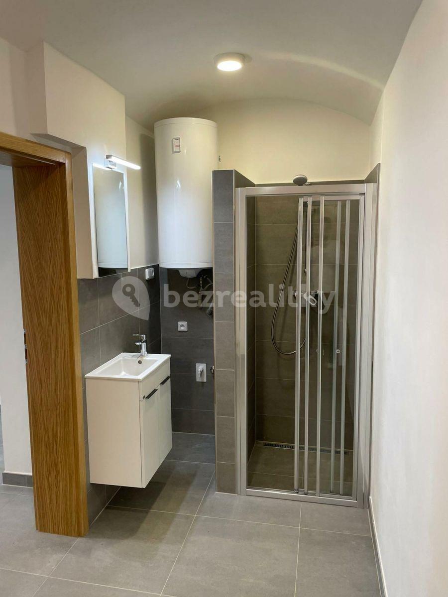 Studio flat to rent, 26 m², Slezská, Prague, Prague