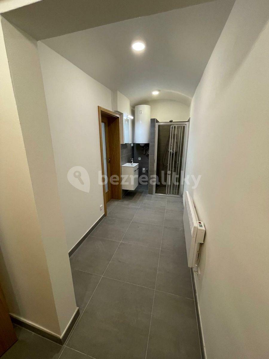 Studio flat to rent, 26 m², Slezská, Prague, Prague