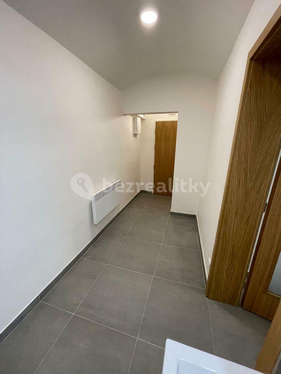 Studio flat to rent, 26 m², Slezská, Prague, Prague