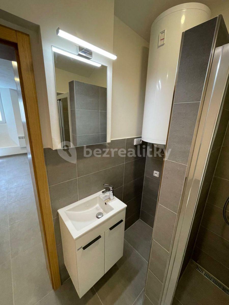 Studio flat to rent, 26 m², Slezská, Prague, Prague