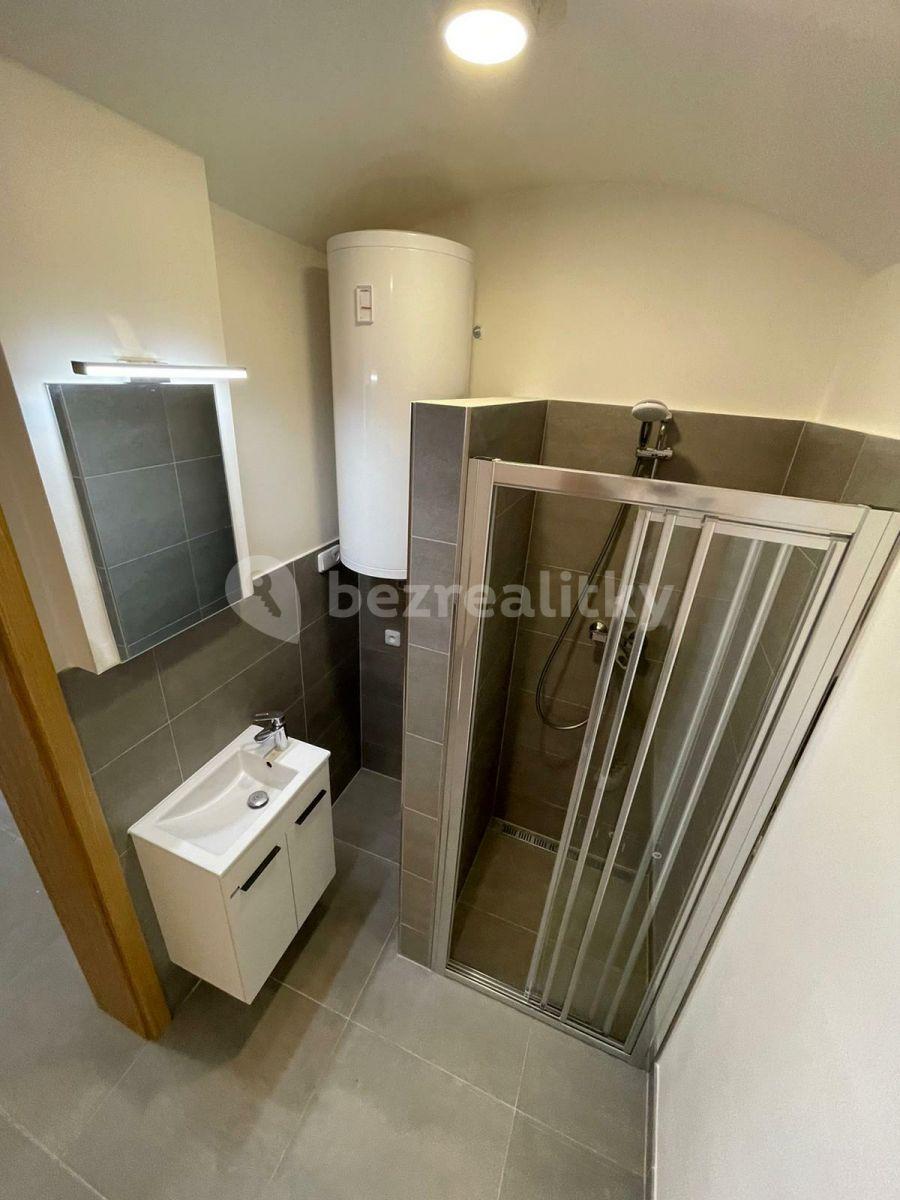 Studio flat to rent, 26 m², Slezská, Prague, Prague