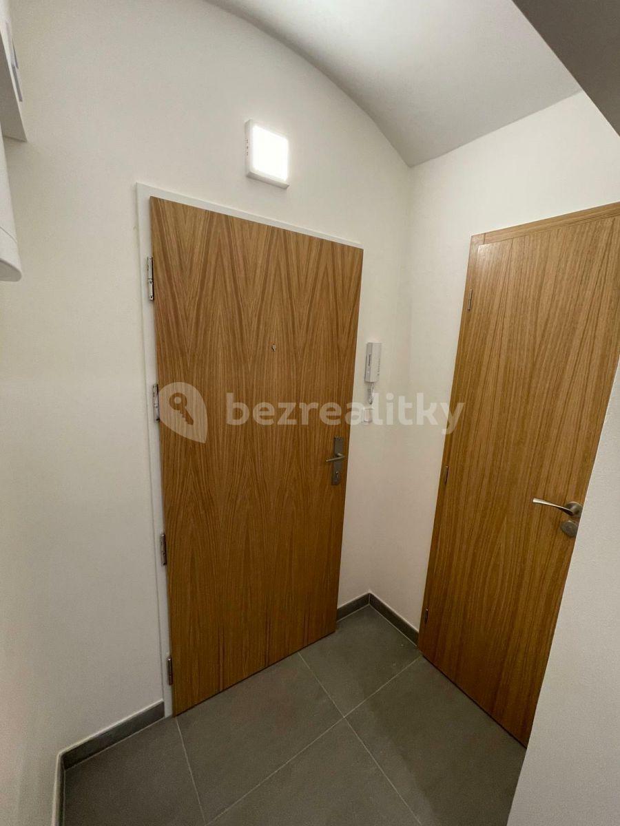 Studio flat to rent, 26 m², Slezská, Prague, Prague