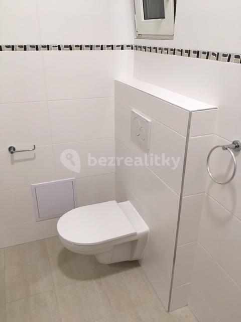 Small studio flat to rent, 32 m², V Olšinách, Prague, Prague