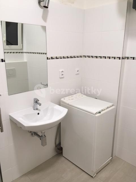 Small studio flat to rent, 32 m², V Olšinách, Prague, Prague