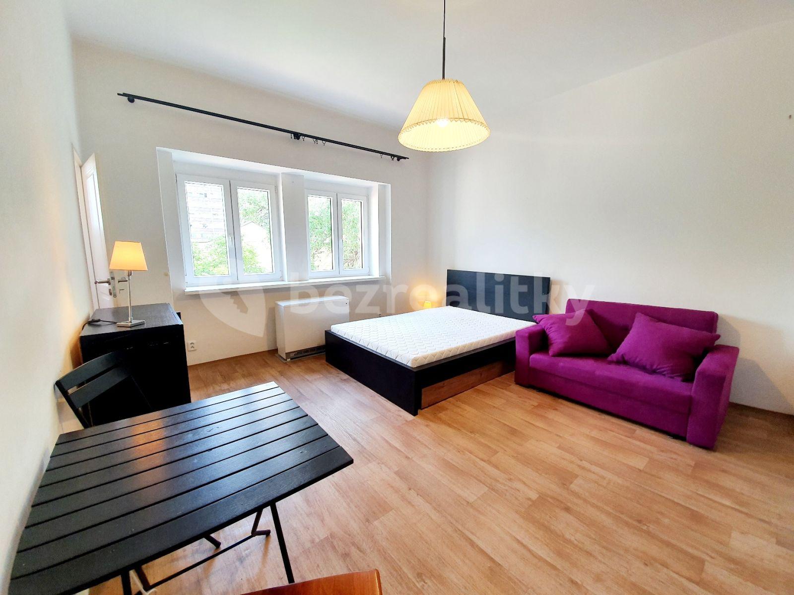 Small studio flat to rent, 32 m², V Olšinách, Prague, Prague