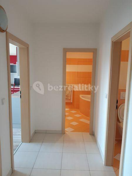 2 bedroom with open-plan kitchen flat to rent, 65 m², Sedláčkova, Brno, Jihomoravský Region