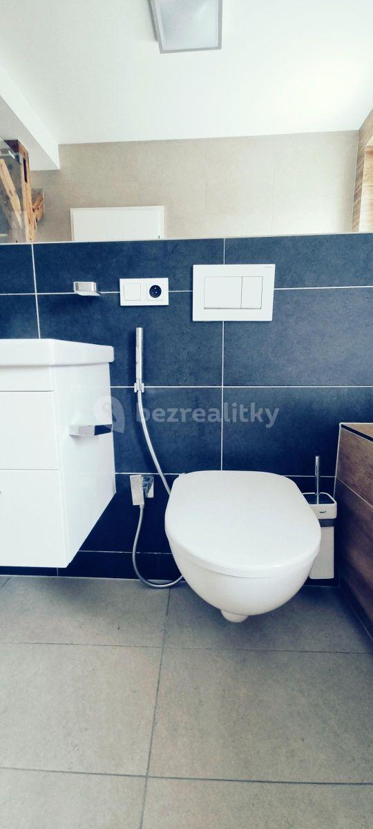 2 bedroom with open-plan kitchen flat to rent, 83 m², Kotlaska, Prague, Prague