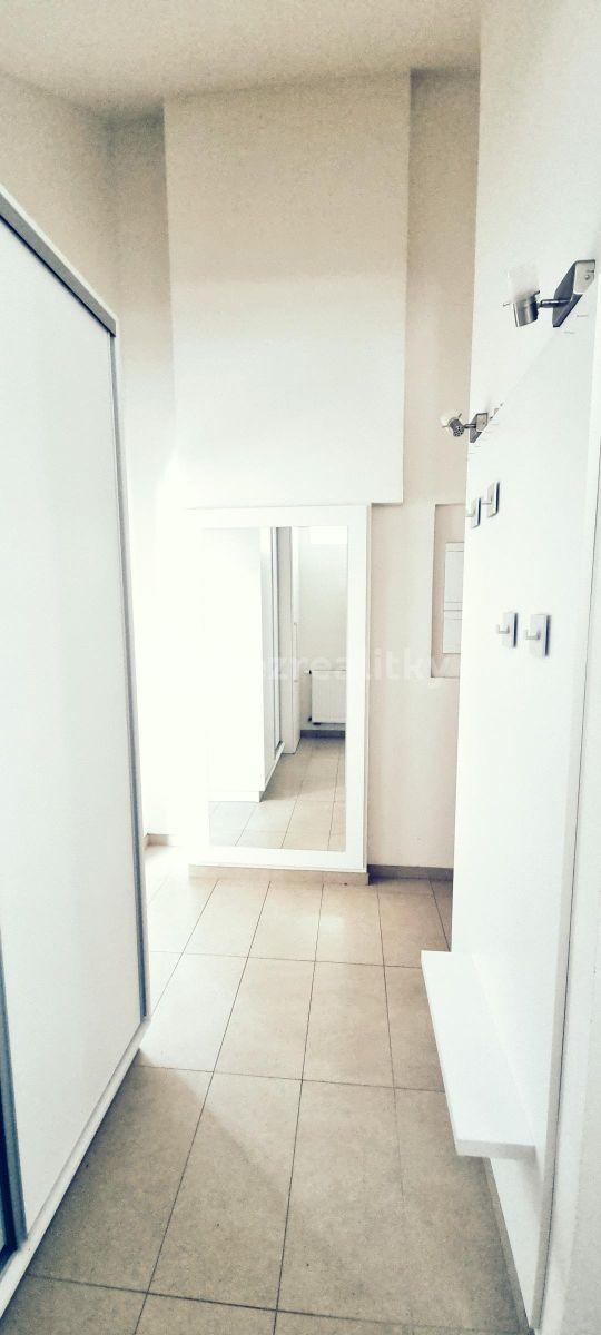 2 bedroom with open-plan kitchen flat to rent, 83 m², Kotlaska, Prague, Prague