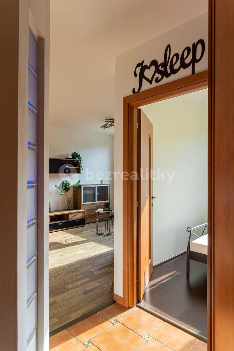 1 bedroom with open-plan kitchen flat to rent, 43 m², Skuteckého, Prague, Prague