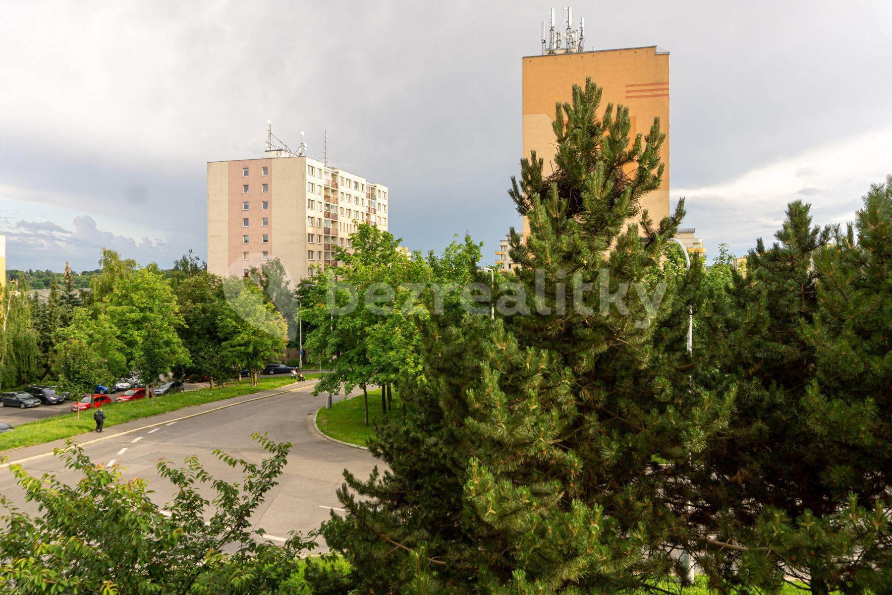 1 bedroom with open-plan kitchen flat to rent, 43 m², Skuteckého, Prague, Prague