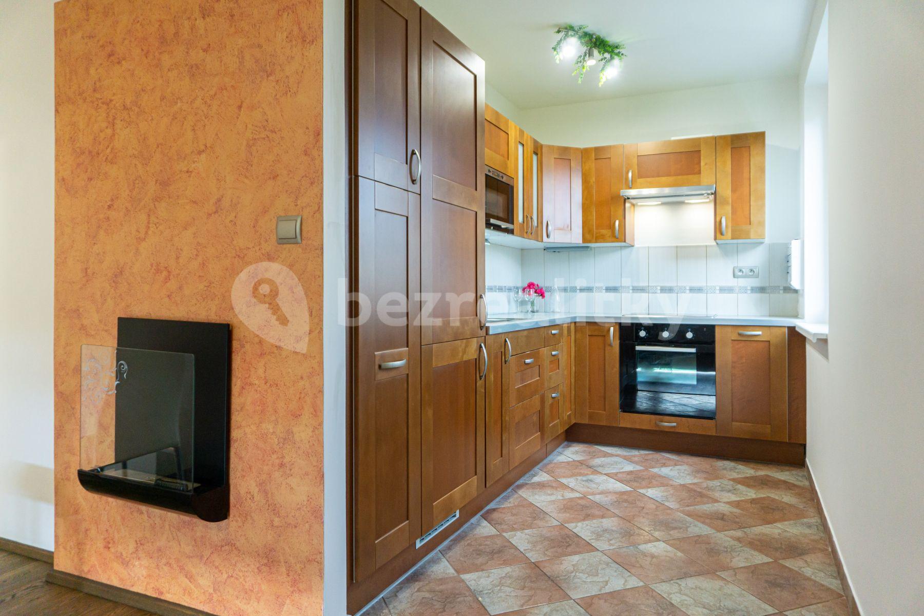 1 bedroom with open-plan kitchen flat to rent, 43 m², Skuteckého, Prague, Prague