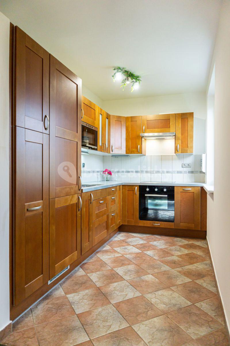 1 bedroom with open-plan kitchen flat to rent, 43 m², Skuteckého, Prague, Prague