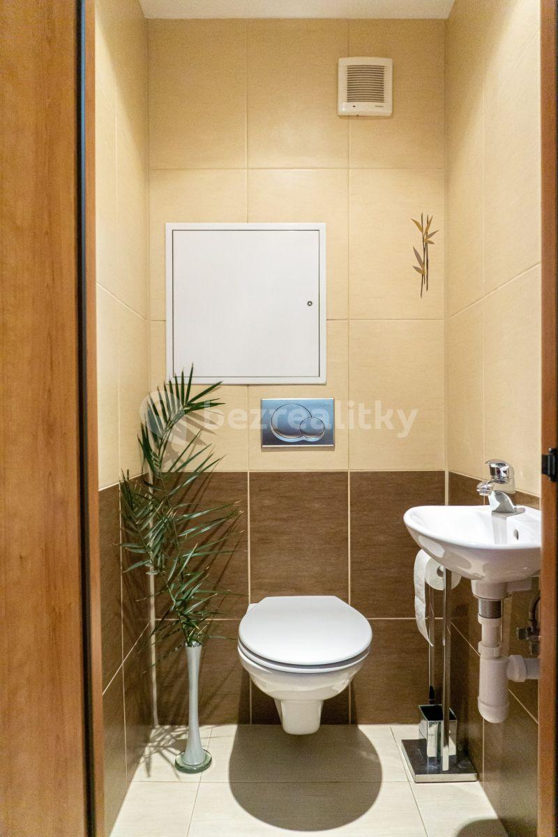 1 bedroom with open-plan kitchen flat to rent, 43 m², Skuteckého, Prague, Prague